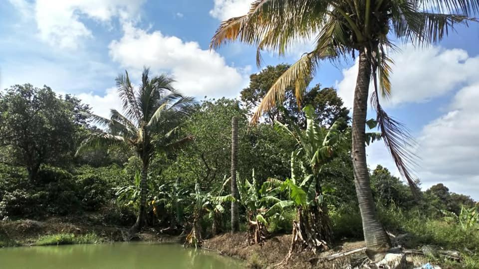 Happy Homestay 邦美蜀 外观 照片
